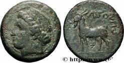 Ancient Coins - THRACIA - AIGOSPOTAMOI Aigos Potamos, Thrace c. 325-300 AC. (21,5mm, 6,96g, 12h)