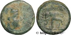 Ancient Coins - SYRIA - SELEUKID KINGDOM - ANTIOCHUS III THE GREAT Atelier incertain, Syrie c. 222-187 AC. (12,5mm, 2,10g, 12h)