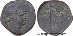 Ancient Coins - PONTUS - AMISOS Amisos, Pont c. 105-90 ou 90-85 AC. (21mm, 8,01g, 12h)