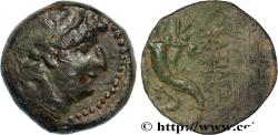 Ancient Coins - SYRIA - SELEUKID KINGDOM - ANTIOCHUS VIII GRYPUS Antioche, Syrie c. 121/120 - 111/110 AC. (20,5mm, 7,89g, 12h)