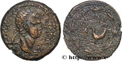 Ancient Coins - KINGDOM OF COMMAGENE - ANTIOCHUS IV EPIPHANES Samosate, Syrie, Commagène c. 38-72 (22,5mm, 6,93g, 12h)