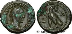 Ancient Coins - TRAJAN DECIUS Alexandrie, Égypte 249-250 (24mm, 13,69g, 12h)