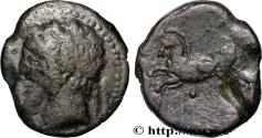 Ancient Coins - NUMIDIA - KINGDOM OF NUMIDIA - MASINISSA or MICIPSA Cirta, Numidie c. 150 AC. (26mm, 12,34g, 12h)