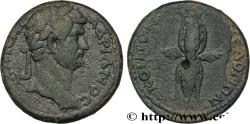 Ancient Coins - HADRIAN Macédoine c. 125-128 (26,5mm, 12,36g, 6h)