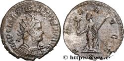 Ancient Coins - MAXIMIANUS HERCULIUS Lyon 289-290 (22,5mm, 3,72g, 12h)