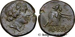 Ancient Coins - PONTUS - AMISOS Amisos, Pont c. 85-65 AC. (21mm, 8,74g, 6h)