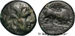 Ancient Coins - SYRIA - SELEUKID KINGDOM - SELEUKOS I NIKATOR Séleucie du Tigre, Babylonie c. 305-304 AC. (13,5mm, 2,57g, 12h)