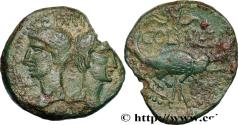 Ancient Coins - NEMAUSUS - NIMES - AUGUSTUS and AGRIPPA Nîmes c. 16/15 - 10 AC. (28mm, 12,06g, 3h)