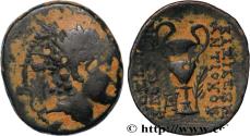 Ancient Coins - SYRIA - SELEUKID KINGDOM - ANTIOCHUS VI DIONYSUS Apamée, Syrie c. 145-142 AC. (20,5mm, 7,45g, 12h)