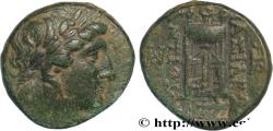 Ancient Coins - SYRIA - SELEUKID KINGDOM - ANTIOCHUS II THEOS Sardes, Lydie c. 275 AC. (16mm, 4,07g, 12h)