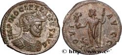 Ancient Coins - DIOCLETIAN Lyon 290-291 (21,5mm, 3,40g, 12h)