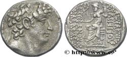 Ancient Coins - SYRIA - SELEUKID KINGDOM - PHILIP PHILADELPHUS Antioche, Syrie c. 88/87 - 76/75 AC. (24,5mm, 14,70g, 12h)