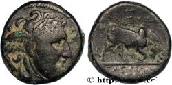 Ancient Coins - SYRIA - SELEUKID KINGDOM - SELEUKOS I NIKATOR Antioche, Syrie c. 282-281 AC. (18,5mm, 6,04g, 1h)