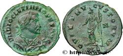 Ancient Coins - DIOCLETIAN Lyon 307 (27mm, 7,90g, 6h)