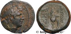 Ancient Coins - SYRIA - SELEUKID KINGDOM - TRYPHON Atelier incertain, imitation d’Antioche c. 140 AC. (18mm, 5,68g, 12h)