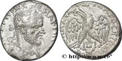 Ancient Coins - MACRINUS Beroea, Syrie, Cyrrhestica 217-218 (24mm, 12,59g, 1h)