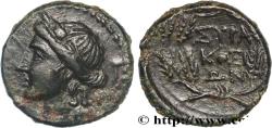 Ancient Coins - SICILY - SYRACUSE Syracuse, Sicile c. après 212 AC. (14,5mm, 2,87g, 1h)
