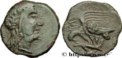Ancient Coins - SICILY - AKRAGAS Agrigente, Sicile c. 279-241 AC. (21mm, 5,10g, 3h)