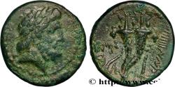 Ancient Coins - PHOENICIA - MARATHOS Marathos, Phénicie 114-113 AC. (21mm, 7,25g, 12h)