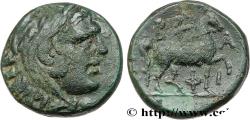 Ancient Coins - MACEDONIA - MACEDONIAN KINGDOM - PHILIP V Pella, Macédoine c. 221-220 AC. (16mm, 3,95g, 1h)