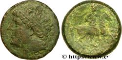 Ancient Coins - SICILY - SYRACUSE Syracuse, Sicile c. 250 AC. (26mm, 16,81g, 2h)