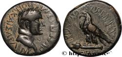 Ancient Coins - VESPASIAN Phrygie, Amorium c. 69-79 (19,5mm, 6,04g, 7h)