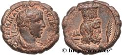 Ancient Coins - SEVERUS ALEXANDER  Alexandrie, Égypte 231-232 (22,5mm, 12,42g, 12h)