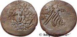 Ancient Coins - PONTUS - AMISOS Amisos, Pont c. 105-90 ou 90-85 AC. (21mm, 7,39g, 12h)