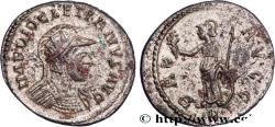 Ancient Coins - DIOCLETIAN Lyon 293 (21,5mm, 3,59g, 6h)