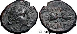 Ancient Coins - SICILY - SYRACUSE Syracuse, Sicile c. 295-289 AC. (20mm, 6,97g, 12h)