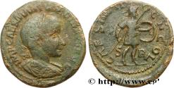 Ancient Coins - GORDIAN III Antioche, Pisidie c. 238-239 (33,5mm, 25,98g, 6h)
