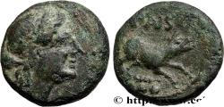 Ancient Coins - LUCANIA - PAESTUM Lucanie, Pæstum c. 218-201 AC. (14mm, 3,17g, 9h)