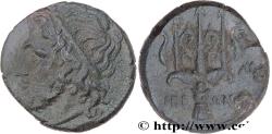 Ancient Coins - SICILY - SYRACUSE Syracuse, Sicile c. 240-215 AC. (20,5mm, 6,82g, 3h)