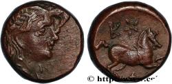 Ancient Coins - CYRENAICA - CYRENE Cyrène, Cyrénaïque c. 282-250 AC. (16mm, 6,02g, 12h)