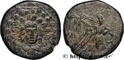Ancient Coins - PONTUS - AMISOS Amisos, Pont c. 105-90 ou 90-85 AC. (20,5mm, 7,08g, 12h)