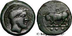Ancient Coins - SICILY - GELA Géla, Sicile c. 420-405 AC. (18,5mm, 3,10g, 6h)