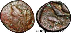Ancient Coins - SARMATIA - OLBIA Istros, Thrace c. 300-200 AC. (11,5mm, 1,39g, 12h)