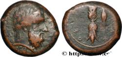 Ancient Coins - SICILY - SYRACUSE Syracuse, Sicile c. 343 - 339/338 AC. (23mm, 15,64g, 11h)