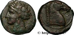 Ancient Coins - ZEUGITANA - CARTHAGE Carthage ou Sardaigne c. 300-264 AC. (19mm, 4,19g, 9h)