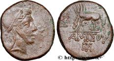 Ancient Coins - PONTUS - AMISOS Amisos, Pont c. 105-90 ou 90-85 AC. (24mm, 11,84g, 1h)