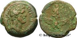 Ancient Coins - ANTONINUS PIUS Alexandrie, Égypte 153-154 (34mm, 29,64g, 12h)