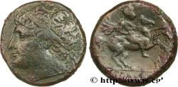 Ancient Coins - SICILY - SYRACUSE Syracuse, Sicile c. 250 AC. (27mm, 19,08g, 5h)
