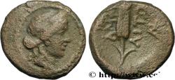 Ancient Coins - MACEDONIA - AMPHIPOLIS Amphipolis, Macédoine c. 148-31 AC. (15,5mm, 4,42g, 12h)