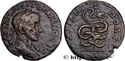 Ancient Coins - GORDIAN III Hadrianopolis, Thrace 241-244 (24mm, 8,45g, 1h)