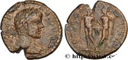 Ancient Coins - CARACALLA Flaviopolis, Cilicie c. 211-212 (23,5mm, 11,83g, 6h)