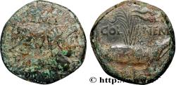 Ancient Coins - NEMAUSUS - NIMES - AUGUSTUS and AGRIPPA Nîmes (30) c. 10-14 AD. (26,5mm, 12,94g, 11h)