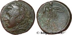 Ancient Coins - SICILY - SYRACUSE Syracuse, Sicile c. 278-276 AC. (23mm, 10,72g, 7h)