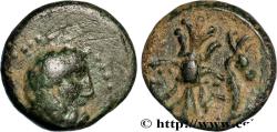 Ancient Coins - PISIDIA - SELGE Selgé c. 200-100 AC. (13,5mm, 2,96g, 12h)