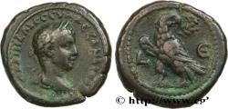 Ancient Coins - SEVERUS ALEXANDER  Alexandrie, Égypte 225-226 (24mm, 14,18g, 12h)