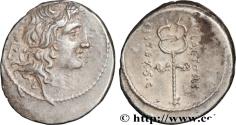 Ancient Coins - PLAETORIA Rome 69 AC. (19mm, 3,88g, 5h)